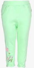 Fs Mini Klub Green Trouser girls