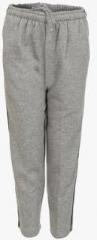 Haig-dot Grey Track Bottom boys