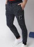 Harvard Navy Blue & White Textured Joggers Men