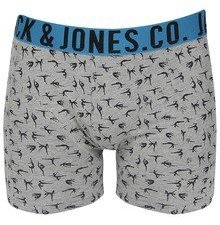 Jack & Jones Grey Trunk men