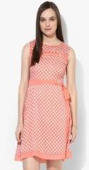 Jc Collection Peach Printed Skater Dress women