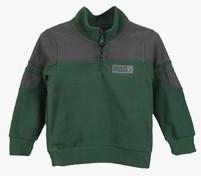 Lilliput Green Sweatshirt boys