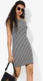 Mango Navy Blue Coloured Striped Shift Dress Women