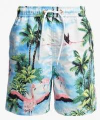 Next Blue Flamingo Print Swim Shorts boys