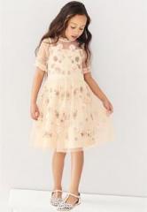 Next Embellished Flower Mesh Dress girls