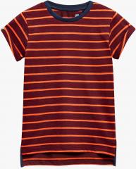 Next Maroon Striped T Shirt boys