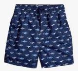 Next Navy Blue Shark Print Swim Shorts Boys