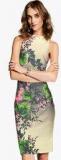 Next Stone Floral Bodycon Dress Women