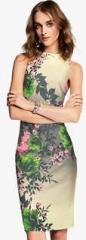 Next Stone Floral Bodycon Dress women