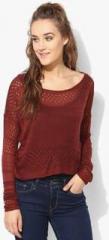 Only Maroon Solid Sweater women