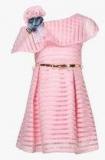 Peppermint Pink Party Wear Dress girls