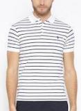 Polo Ralph Lauren White & Navy Blue Slim Fit Striped Polo T Shirt