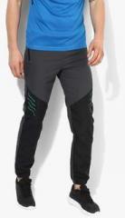 Proline Active Dark Grey Training Track Pants men