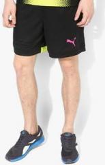 Puma It Evotrg Black Shorts men