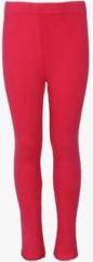 Pumpkin Patch Fuchsia Legging girls