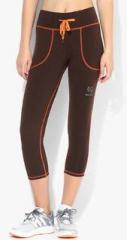 Restless Brown Solid Capri women