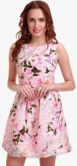 Sassafras Pink Coloured Printed Skater Dress women