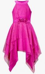 The Cranberry Club Fuchsia Party Dress girls