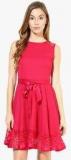 The Vanca Fuschia Colored Solid Skater Dress women