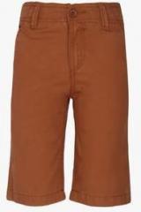 U S Polo Assn Brown Shorts boys