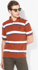 U S Polo Assn Brown Striped Polo Collar T shirt men