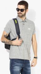 U S Polo Assn Grey Solid Regular Fit Polo T Shirt men