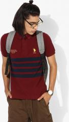 U S Polo Assn Maroon Striped Regular Fit Polo T Shirt men