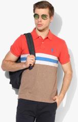 U S Polo Assn Red Colourblocked Polo Collar T shirt men