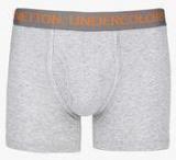 Under Colors Of Benetton Pack Of 2 Grey Trunks men