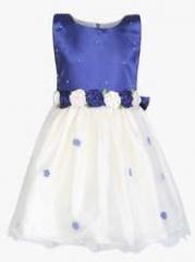 Winakki Kids Blue Party Dress girls