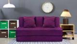 Aart Store High Density Foam Sofa Cums Bed Furniture Two Seater 4x6 Feet With Two Cushion Magenta Single Sofa Bed