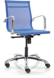 Ayrus Mesh Fabric Mid Back Office Chair in Blue Colour