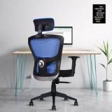 Beaatho AMAZE Ergonomically Adjustable High Back Mesh Chair With 3 Years Warranty Natural Fiber Office Adjustable Arm Chair