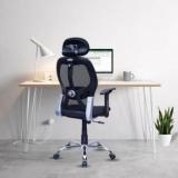 Beaatho Oligo With 3 Years Warranty High Back Ergonomic Revolving Nylon Office Executive Chair