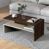 Bluewud Taurley Center Sofa Tea/Teapoy Console Table For Sofa Engineered Wood Coffee Table