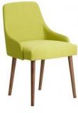 CasaCraft Celano Chair In Green Color