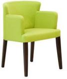 CasaCraft Florentino Arm Chair In Fern Green