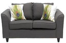 CasaCraft San Miguel Two Seater Sofa With Throw Pillows In Streel Grey Colour