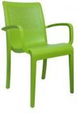 Cello Ecstasy Elegant Chair Set Of Two In Green Colour