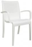 Cello Ecstasy Elegant Chair Set Of Two In White Colour