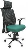 Chromecraft Argentina High Back Office Executive Chair In Green Colour