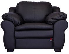 Durian Berry Classic English Single Seater Sofa In Dark Brown Colour