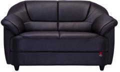 Durian Berry Engineered Double Seater Sofa in Dark Brown Colour