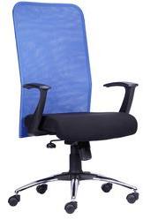 Durian Ergonomic Chair in Blue & Black Net Fabric Finish