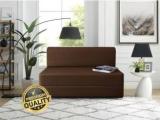 Expecting Smile 2 Seater Double Foam Fold Out Sofa Cum Bed