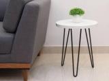 Finch Fox Elegant Hairpin Legs Powdered Coated Engineered Wood Side Table/End Table For Living Room In White Color Metal Side Table