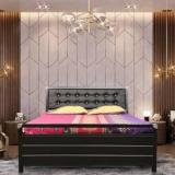 Flipkart Perfect Homes CARNIVAL Metal Double Hydraulic Bed