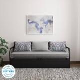 Furniturekraft Caen Double Engineered Wood, Metal Sofa Bed