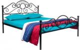 FurnitureKraft Metallic Double Bed In Black Colour