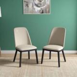 Godrej Interio Metal Dining Chair